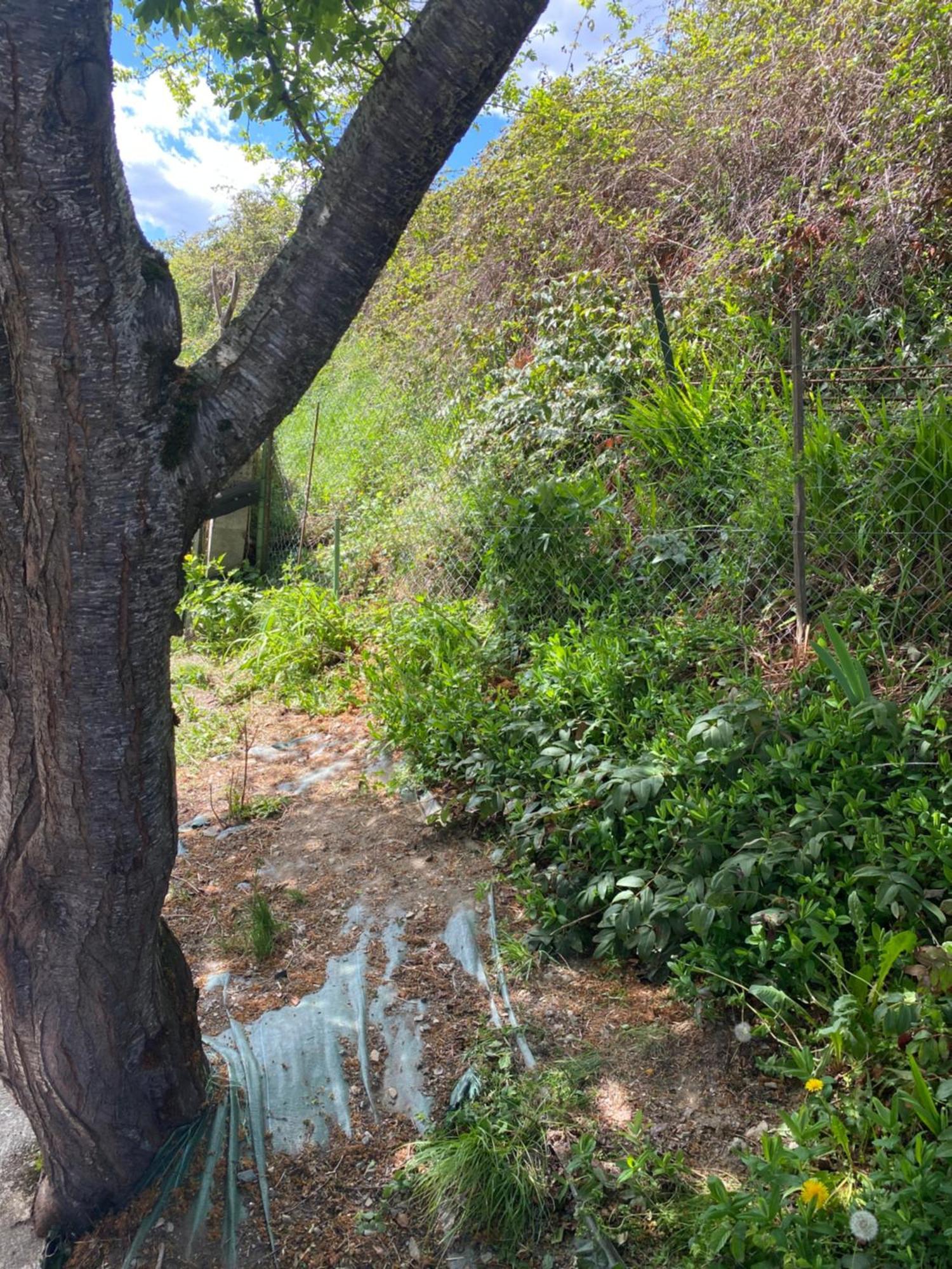 Saint-Aventin Maison Pyrenees מראה חיצוני תמונה